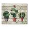 Designart - Three Cacti In Clay Pots - Botanical Print on Natural Pine Wood
